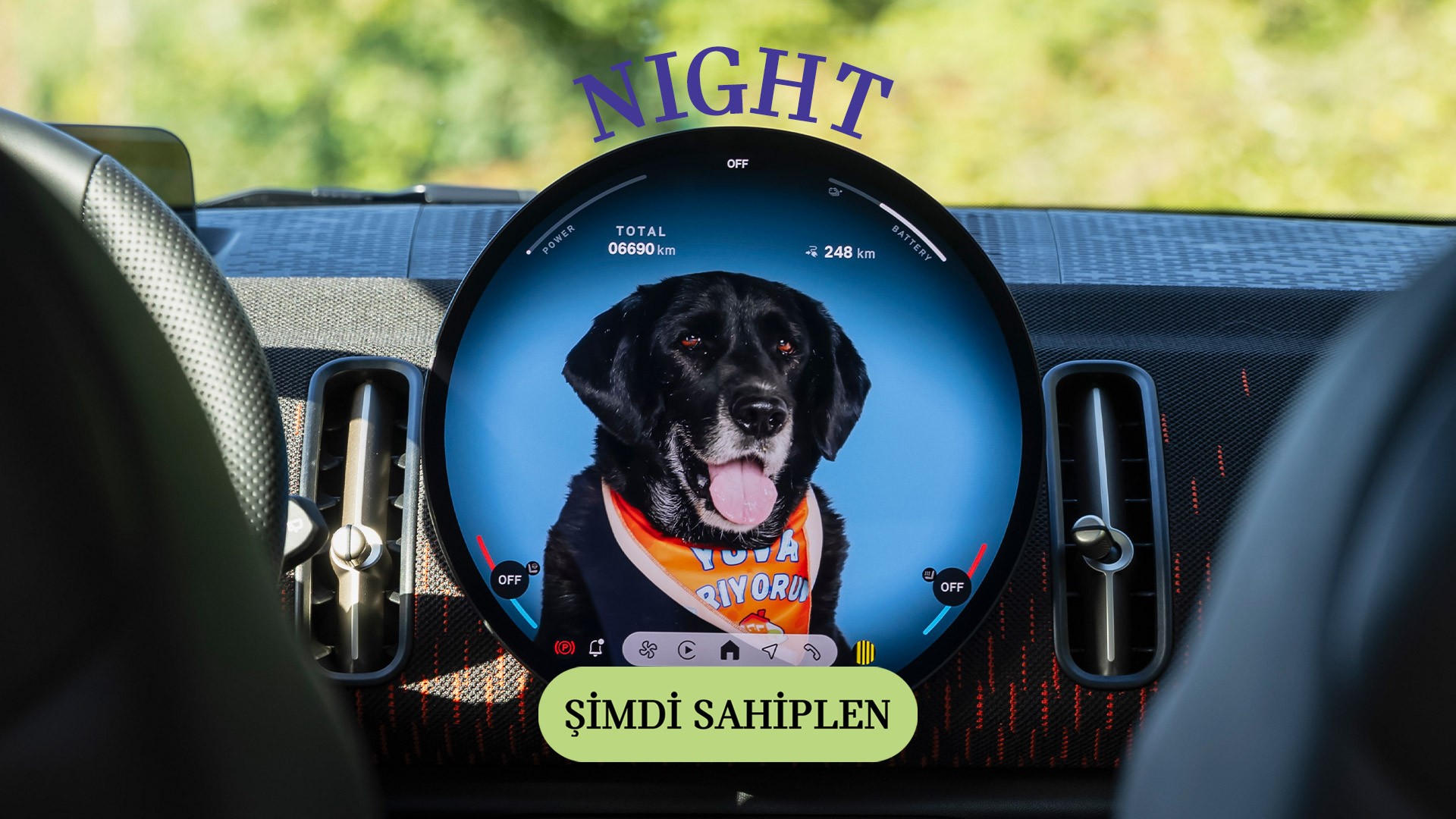 MINI Pati | MINI Türkiye